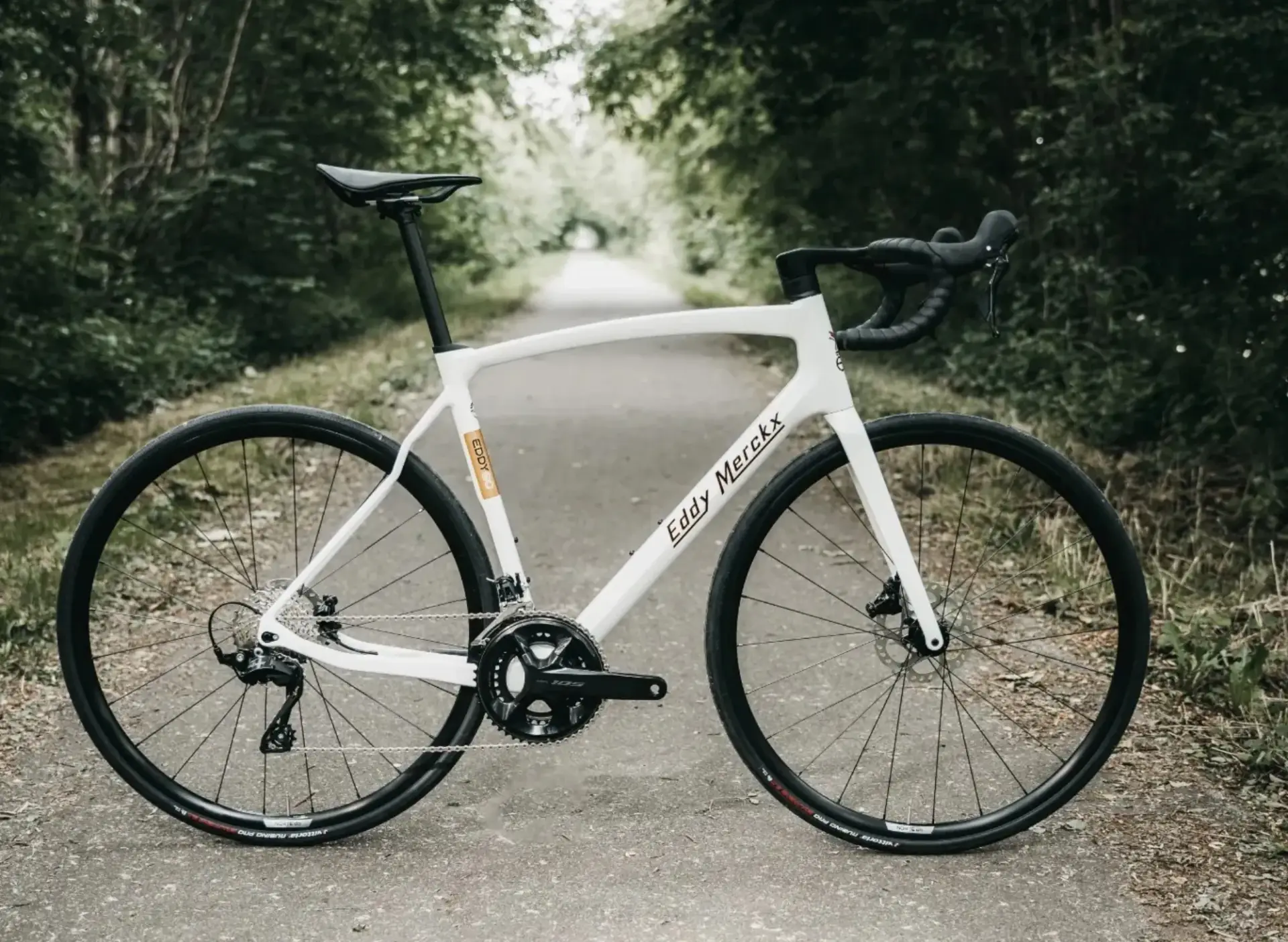 Eddy Merckx Pévéle racefiets