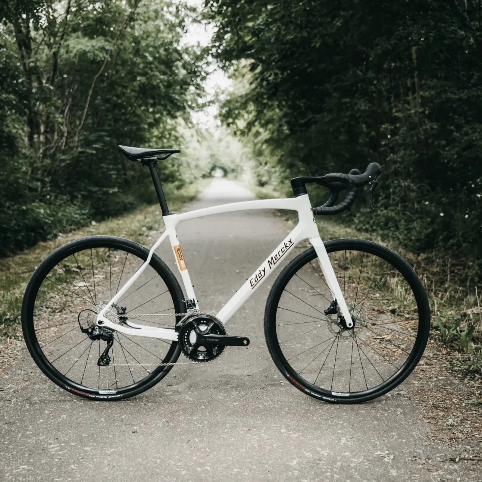 Eddy Merckx 80th Anniversary Edition racefiets Dacorsa Zuid-Holland