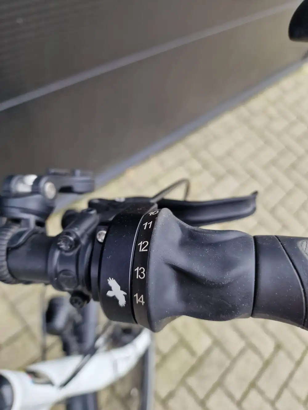 Jan Janssen Rohnin Rohloff 14 Gates riemaandrijving - Afbeelding 6